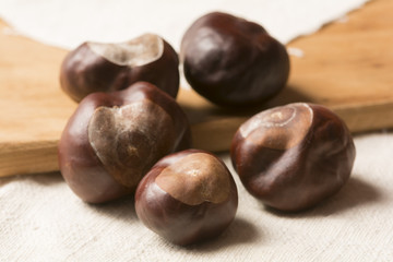 fruit chestnut