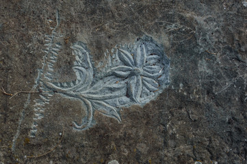 Flower cared in stone