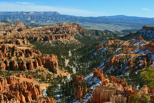 BRICE CANYON NATIONAL PARK WITH PINE TREES AND SNOW