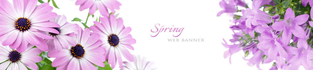 Spring web banner - obrazy, fototapety, plakaty