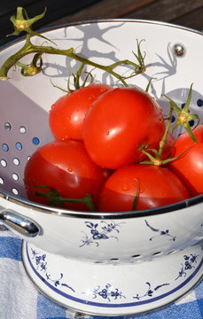 gewaschene Tomaten