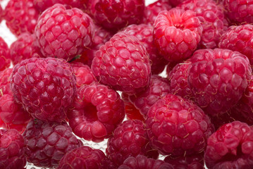 A beautiful selection of freshly picked ripe red raspberries.
