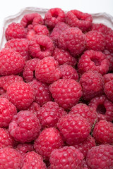 A beautiful selection of freshly picked ripe red raspberries.