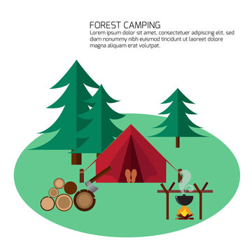 Forest camping and hiking