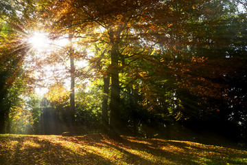 Freiburg, Schloßberg