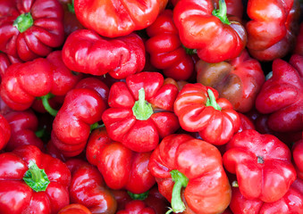 Small thickwalled flat red pepper