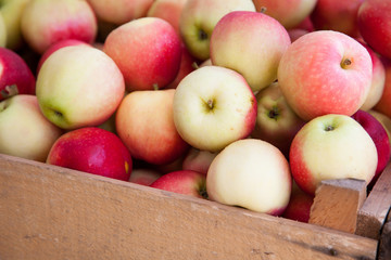 Box full of fine ripe apples