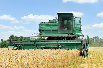 Combine harvests wheat on a field in sunny summer day