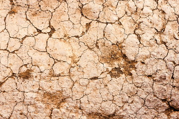 Dry cracked earth texture