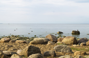 Fototapeta na wymiar boulders on the shore of the Gulf of Finland