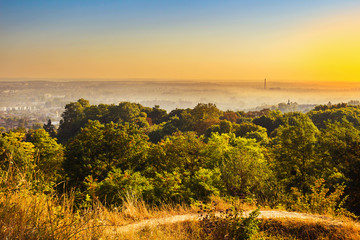 Exciting sunrise over fogged city and park, aerial view, Lviv