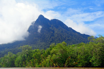 Mt. Santubong, Borneo, Malaysia