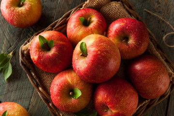 Raw Red Fuji Apples © Brent Hofacker
