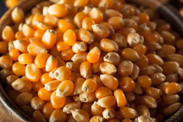 Raw Organic Yellow Popcorn
