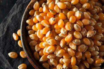 Raw Organic Yellow Popcorn