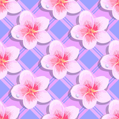 Seamless background tropical flowers plumeria
