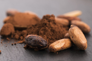cacao beans and cacao powder in spoon