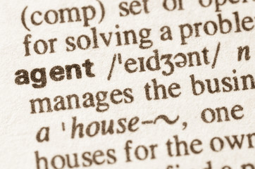 Dictionary definition of word agent