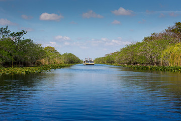 Everglades in Florida