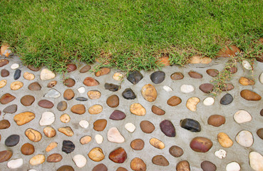 stone path with grass in garden
