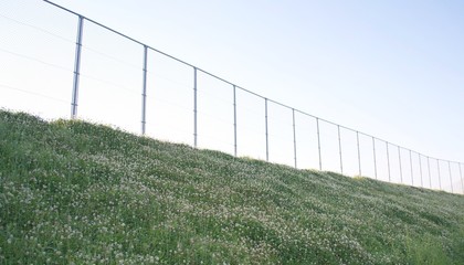 公園のフェンス / Mesh fence of the park