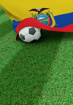 Soccer ball and national flag of Ecuador,  green grass