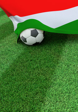 Soccer ball and national flag of Hungary,  green grass