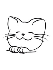 Cat small young loving naughty