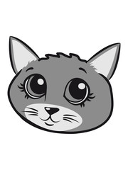 Cat small young sweet sweet