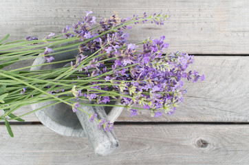 Fresh lavender herbs in marble mortar - alternative medicine, he