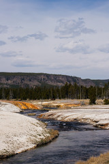 Stream through Yellowstone National Park