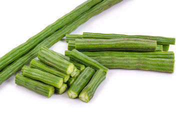 moringa isolated on a white background