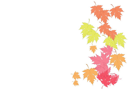 Maple  leaves on white background,vector illustration
