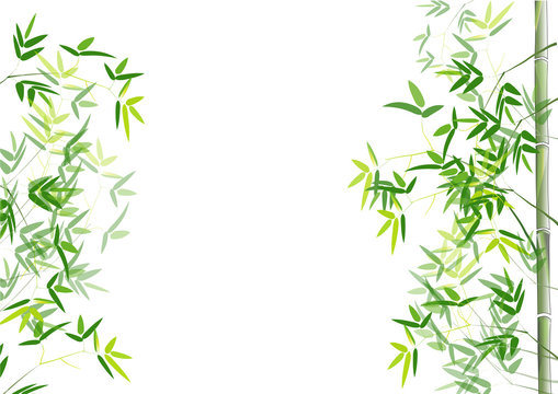 Bamboo leaves background,Vector illustratio