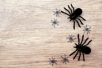 Halloween background