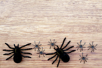 Halloween background