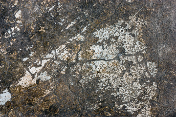 Cement floors are old and dirty.