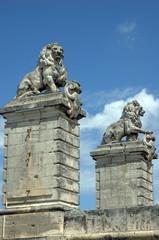 Fototapeta na wymiar stone lions