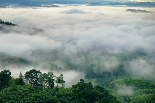 Fototapeta fog mountain