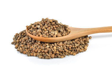 Coriander seed in the wood spoon on white background