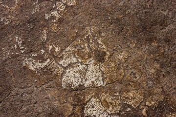 Cement floors are old and dirty.
