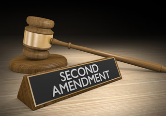 Second Amendment right to bear arms and the gun control legal challenge