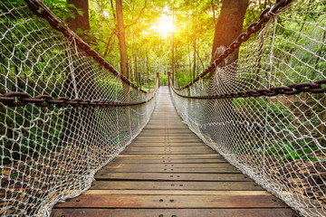 Fototapety  Suspension bridge in the forest