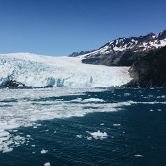 Aialik Glacier
