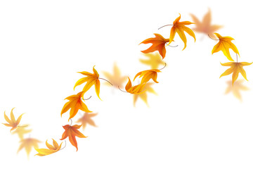 Curve of falling and spinning autumn maple leaves isolated on white