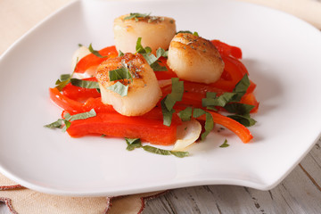 Grilled Scallops with peppers and herbs on a plate closeup. horizontal
