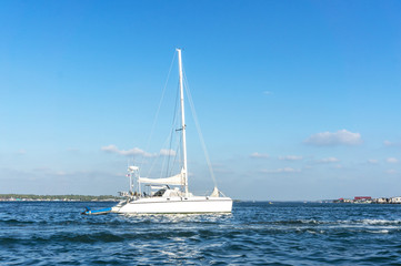 Fototapeta premium Sailing in the wind through the waves..