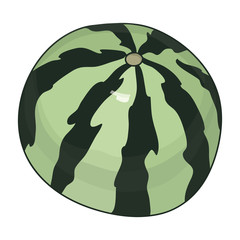 Watermelon isolated on white background