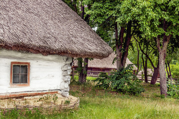 Fototapeta na wymiar landscape clay and wooden hut thatched Ukrainian