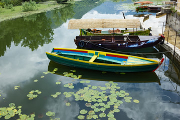 Fototapety na wymiar - Fototapeta24.pl